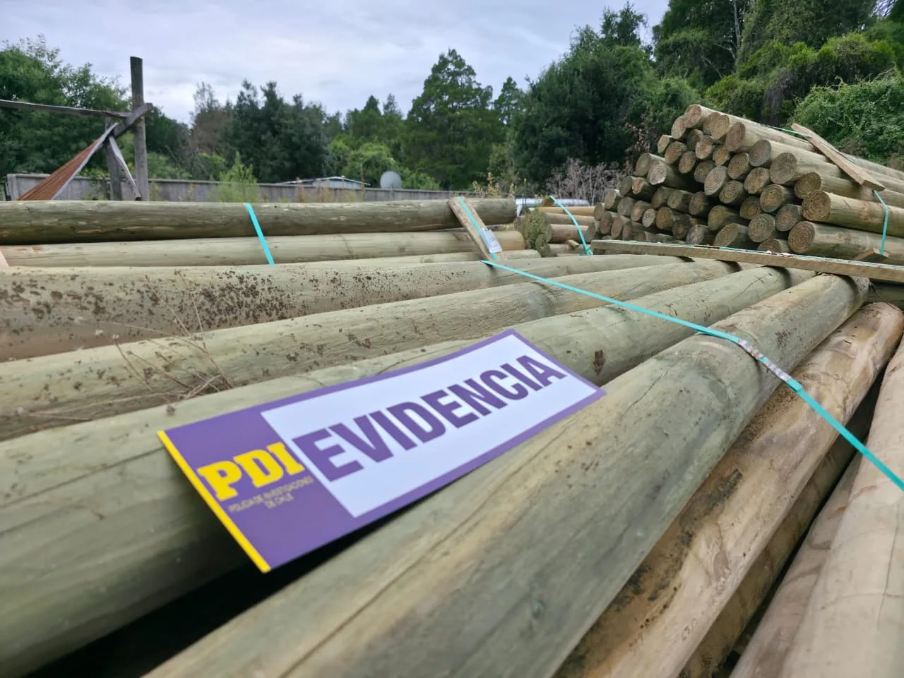 PDI recupera madera avaluada en $4 millones tras estafa en La Araucanía