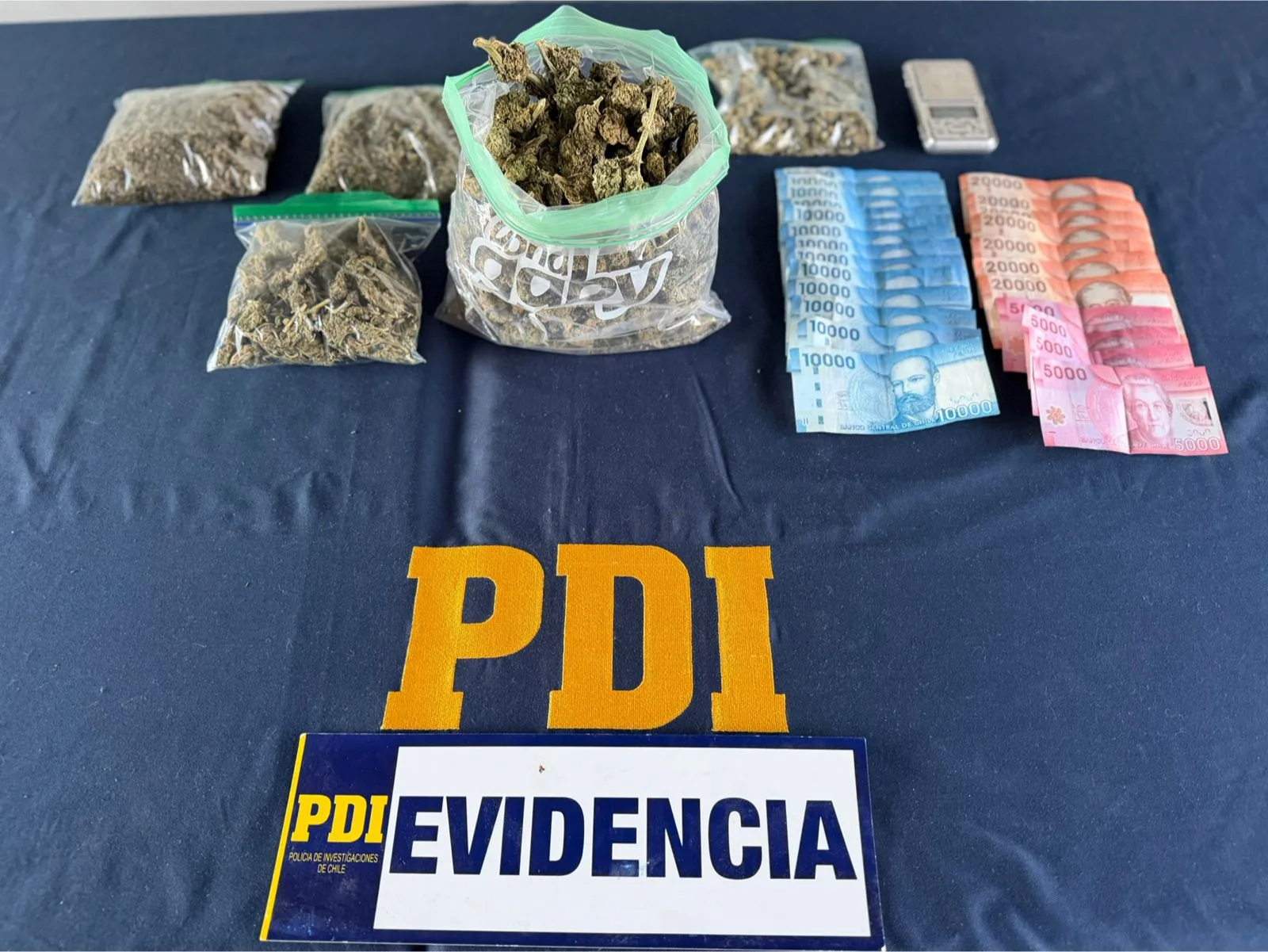 En Villarrica: PDI Incauta 634 Gramos De Cannabis Sativa A Granel Lista Para Su Comercialización
