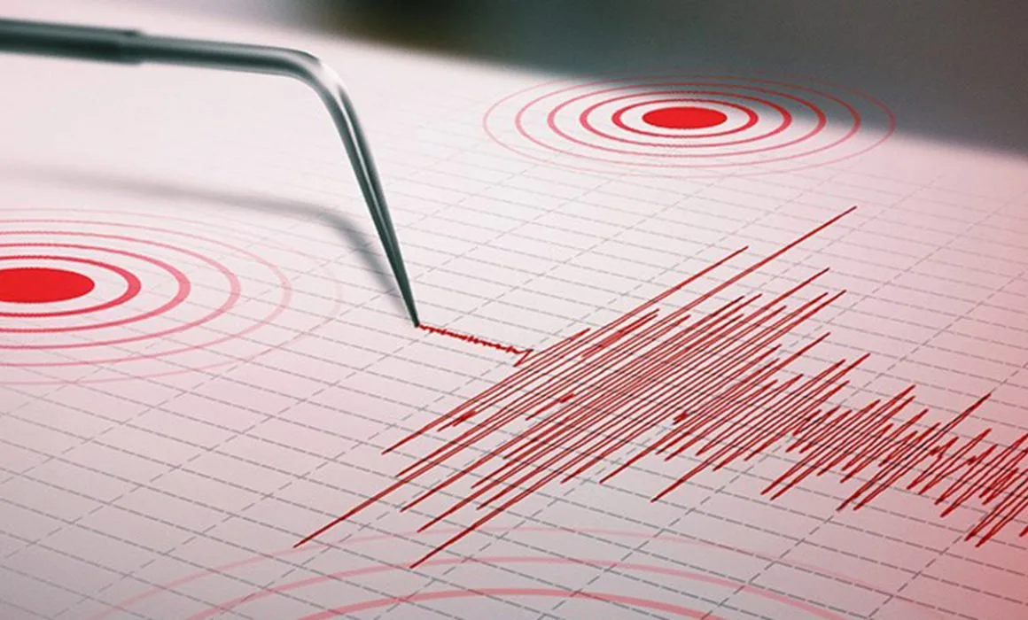 Fuerte temblor se percibe en regiones de Ñuble, Biobío y La Araucanía