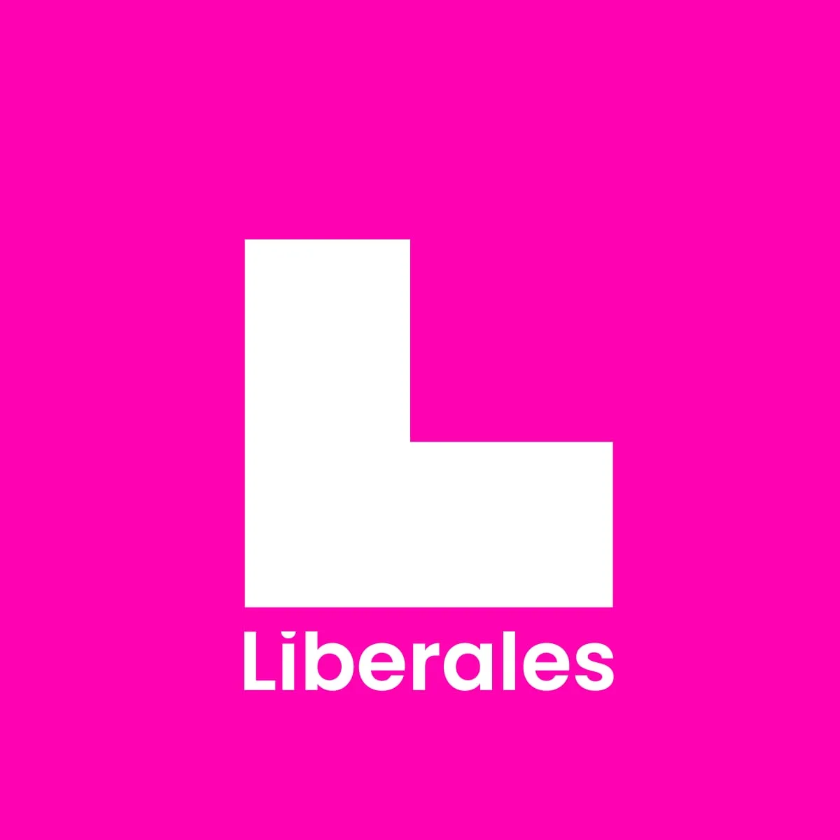 Partido Liberal de la Araucanía pedirá a UNICEF observar la eventual vulneración de derechos de niños haitianos por parte del estado de Chile