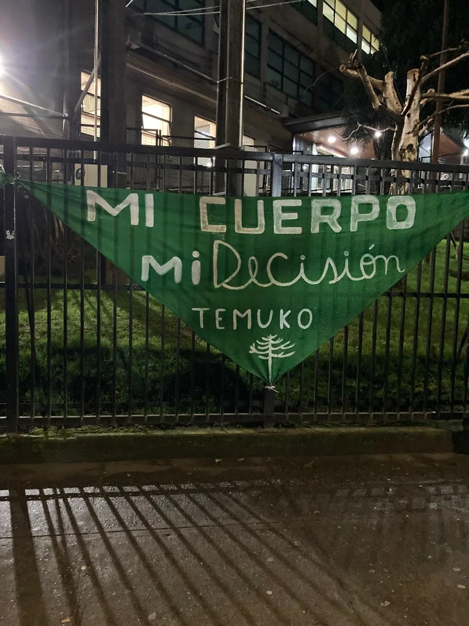 Feministas se manifiestan en Temuco contra proyecto «Escucha su corazón»: «Mi cuerpo, mi decisión»