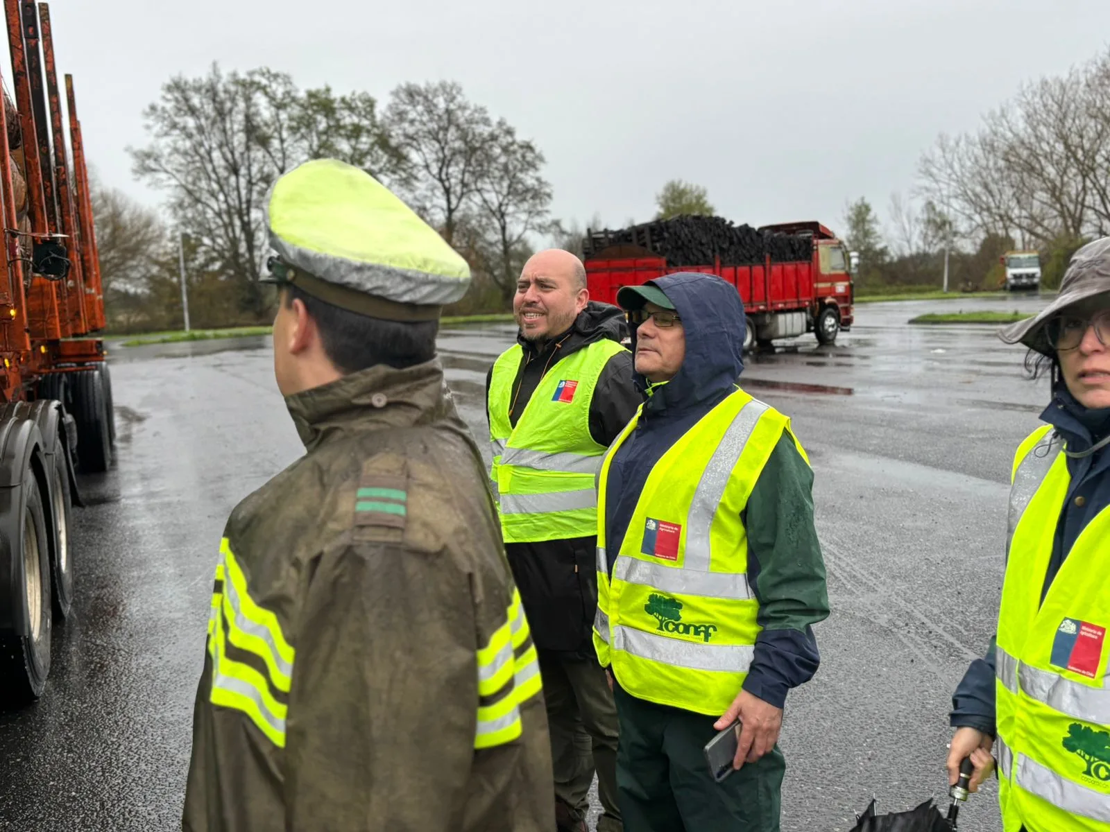 Operativo conjunto refuerza la lucha contra el robo de madera en La Araucanía