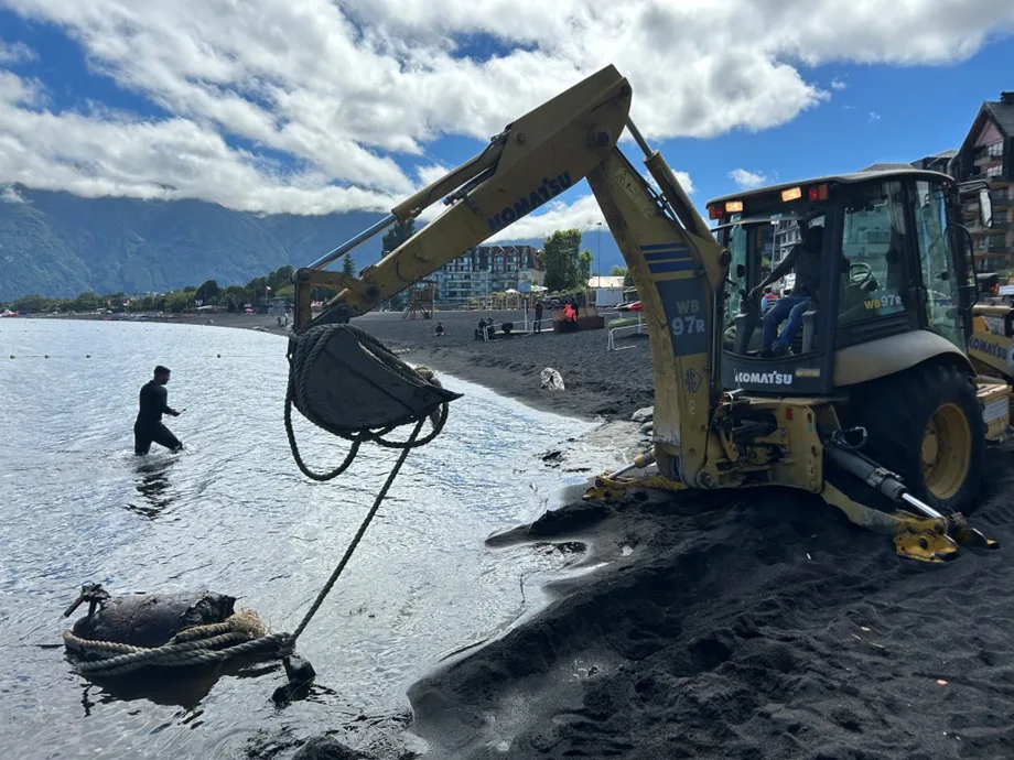 Retiran peligrosas estructuras subacuáticas y despejan puntos críticos en playas de Pucón