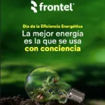Día Mundial de la Eficiencia Energética: Frontel llama a cuidar la energía y reducir el consumo en el hogar