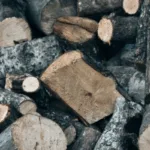 Gremio de la madera advierte alza de precios por impacto del combustible en el sector forestal