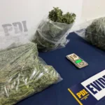 En Traiguén: PDI incauta cannabis avaluada en $10 millones y detiene a sujeto por infracción a Ley de Drogas