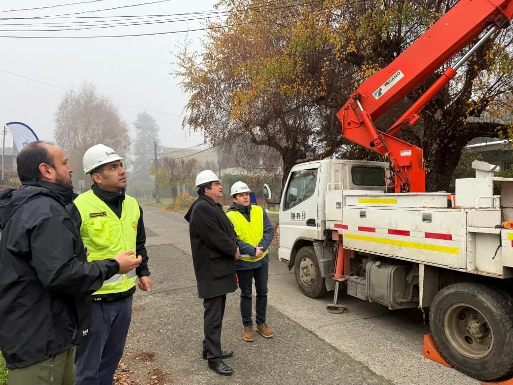 Saesa presentó Plan Integral de Fortalecimiento de Redes en Valdivia junto a autoridades