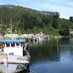 Gobierno implementa cupón de combustible para apoyar a la pesca artesanal