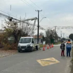 Con la ejecución de un plan de poda preventiva Frontel refuerza la seguridad del suministro en Lautaro