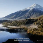“Inmersión en la Mapu”: Experiencia inmersiva sobre crisis ambiental llega a La Araucanía 