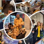 Pitrufquén se prepara para vivir la “Pitrufungi 2026” con actividades gratuitas para toda la familia