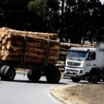 Gremio de conductores forestales acusa falta de coordinación en seguridad y compara gestión con gobierno anterior