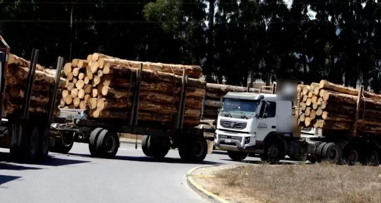 Gremio de conductores forestales acusa falta de coordinación en seguridad y compara gestión con gobierno anterior