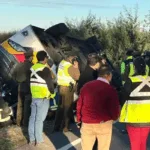 Tragedia en Ruta Freire-Villarrica: volcamiento de bus deja un fallecido y 29 lesionados en La Araucanía