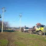 Frontel ejecutó trabajos de mejoramiento en la red eléctrica de Cholchol para fortalecer el suministro