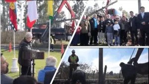 Electrificación rural en Victoria: instalan primer poste de histórico proyecto que beneficiará a 65 familias