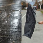 Actualizan pronósticos de lluvia y viento en el sur: se esperan hasta 75 mm y rachas de 90 km/h
