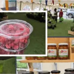 Feria Mercado Rural de Pucón debutará en Plaza Brasil con venta directa de productores locales