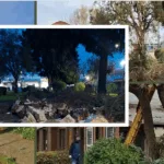 Vecinos denuncian nueva tala de árboles en Villa Héroes de la Concepción y cuestionan medidas de seguridad en Temuco