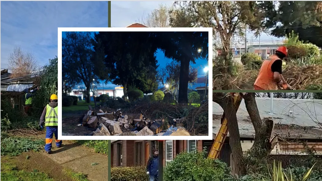 Vecinos denuncian nueva tala de árboles en Villa Héroes de la Concepción y cuestionan medidas de seguridad en Temuco