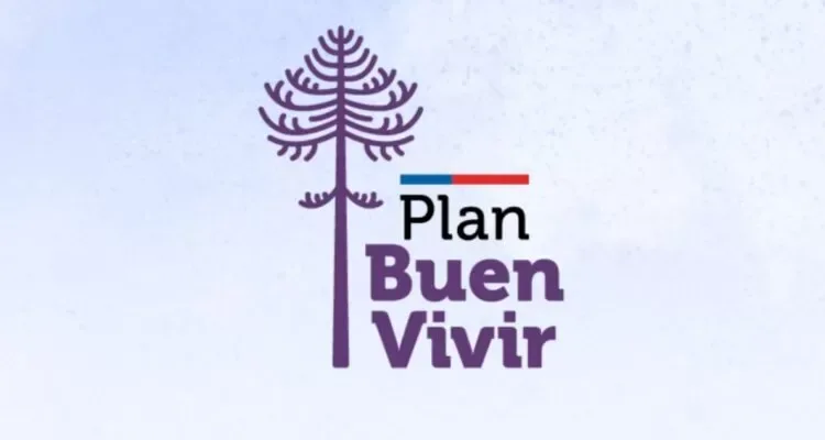 Gobierno detecta falta de respaldo en ejecución del Plan Buen Vivir en La Araucanía