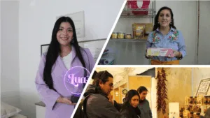 Chile Emprende: nueva plataforma reúne programas, subsidios y apoyo estatal para las Mipymes