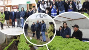 Seremi de Agricultura destacó la formación técnica y cultural del Liceo Agrícola El Vergel de Angol