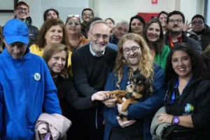 Gobierno de La Araucanía impulsa inédito programa para controlar la sobrepoblación de perros y gatos en Temuco