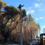 Frontel informa que continúan desplegados en sectores rurales de La Araucanía para restablecer el suministro eléctrico afectado por evento climático