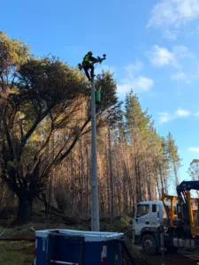 Frontel informa que continúan desplegados en sectores rurales de La Araucanía para restablecer el suministro eléctrico afectado por evento climático