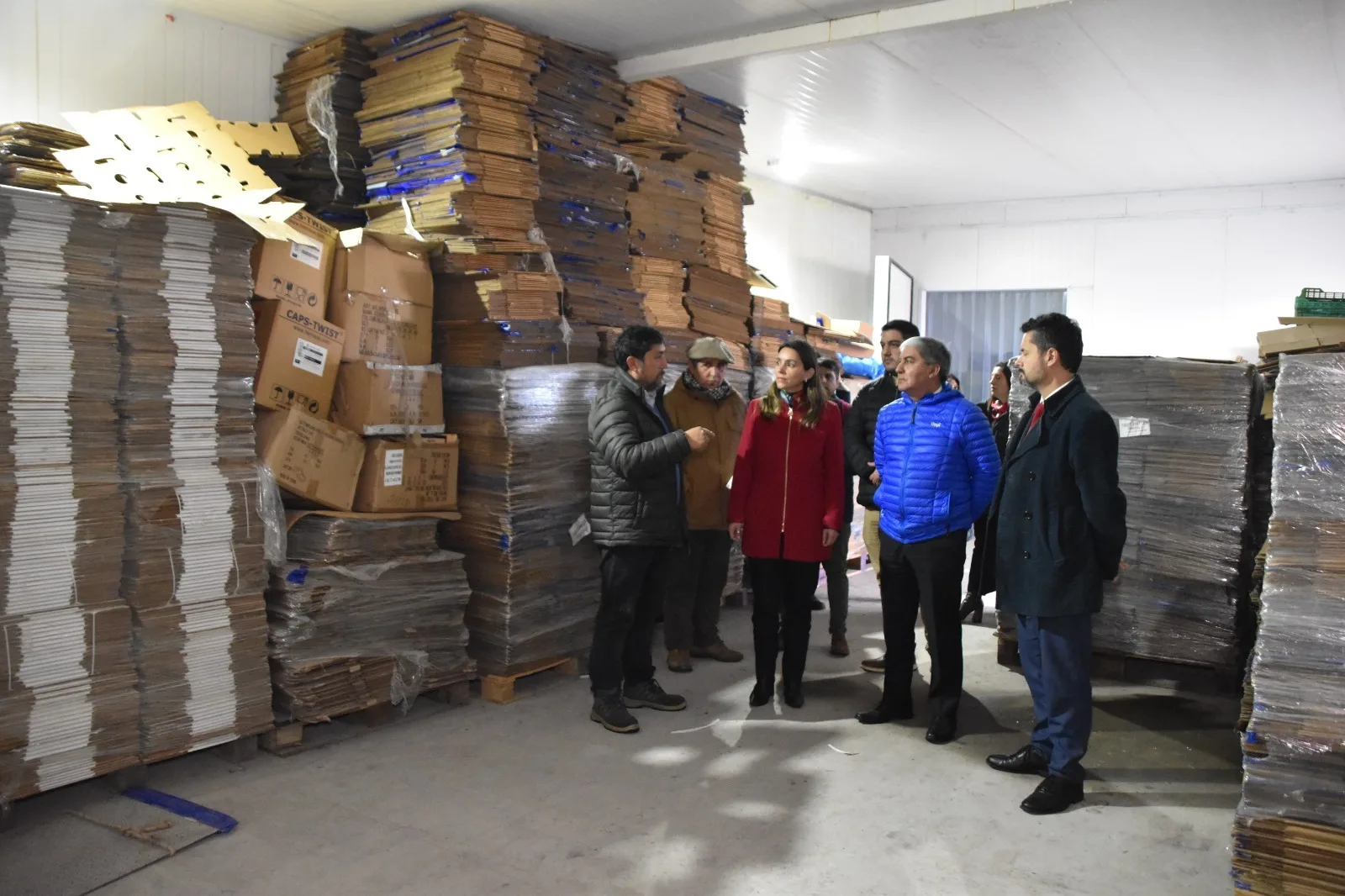Cooperativa mapuche de La Araucanía supera los 98 mil kilos de berries y busca impulsar exportaciones con apoyo del Plan Buen Vivir