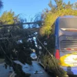 Temporal por fuertes vientos golpea La Araucanía: más de 66 mil clientes sin luz y rutas cortadas entre Villarrica y Pucón