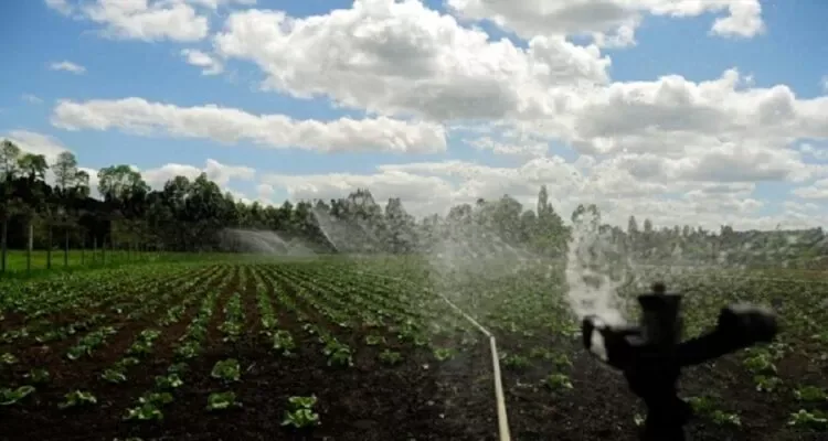 Consorcio Agrícola del Sur pide mayor inversión estatal en embalses tras dichos del ministro Jaime Campos