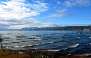 Ministerio del Medio Ambiente reingresa a Contraloría el Plan de Descontaminación del lago Villarrica