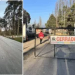 Cierran parque Isabel Riquelme de Lautaro tras caída de 50 árboles por temporal