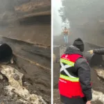 Cierre de acceso al centro de esquí del volcán Villarrica por socavón de dos metros en El Playón