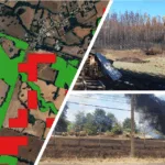 Tecnología satelital fortalece la protección del bosque nativo en La Araucanía