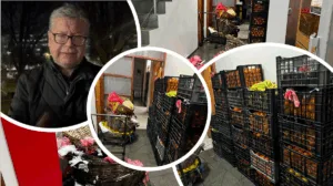 Temuco intensifica operativos contra el comercio ilegal: decomisan más de media tonelada de alimentos en el centro