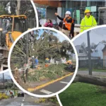 Temporal deja más de 120 viviendas dañadas y 17 incidencias en establecimientos municipales de Temuco