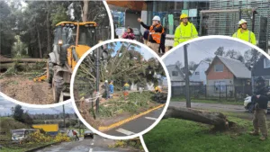 Temporal deja más de 120 viviendas dañadas y 17 incidencias en establecimientos municipales de Temuco