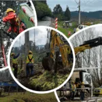 Frontel refuerza plan de reconstrucción de la red eléctrica en las comunas más afectadas de Cautín