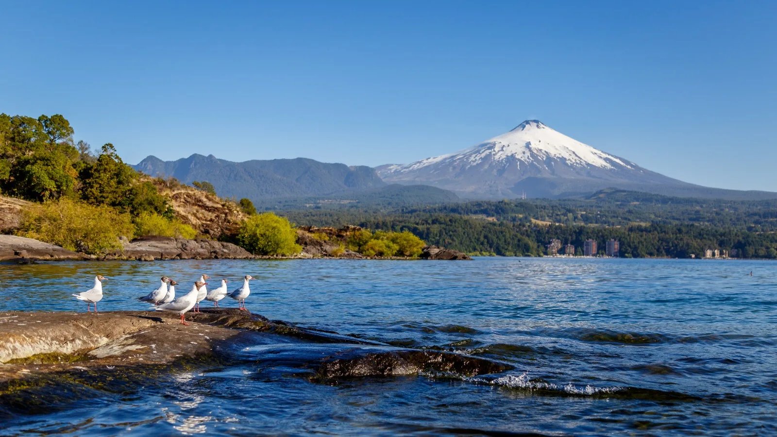 Contraloría aprueba el primer plan de descontaminación hídrica de Chile para recuperar el Lago Villarrica