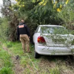 Seguridad municipal de Temuco encuentra dos vehículos robados en humedal Antumalen