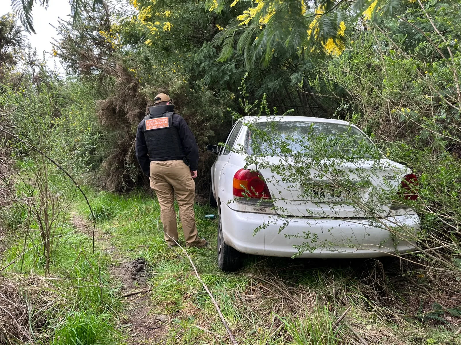 Seguridad municipal de Temuco encuentra dos vehículos robados en humedal Antumalen