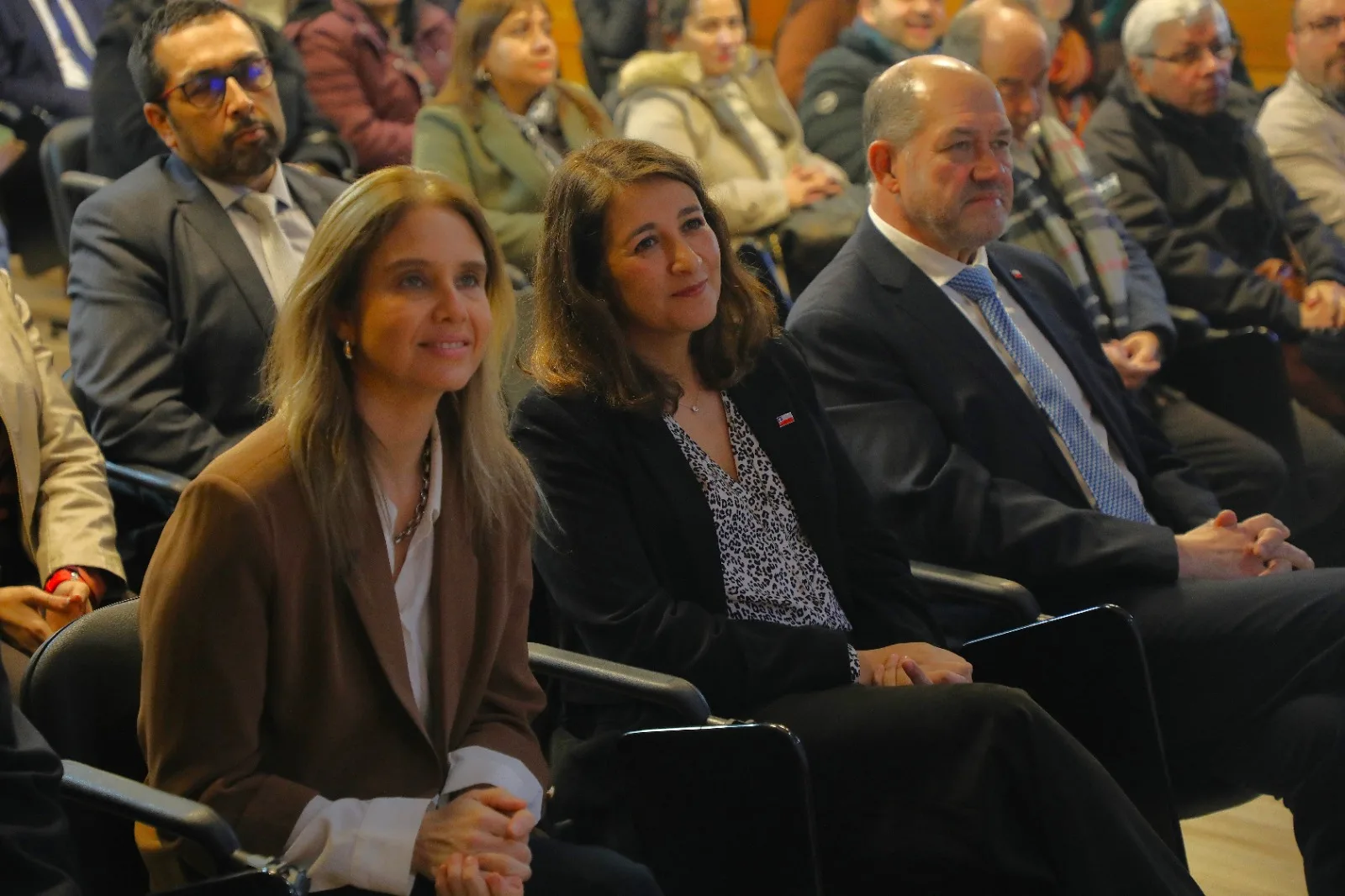 Medio Ambiente destaca avances en descontaminación en La Araucanía