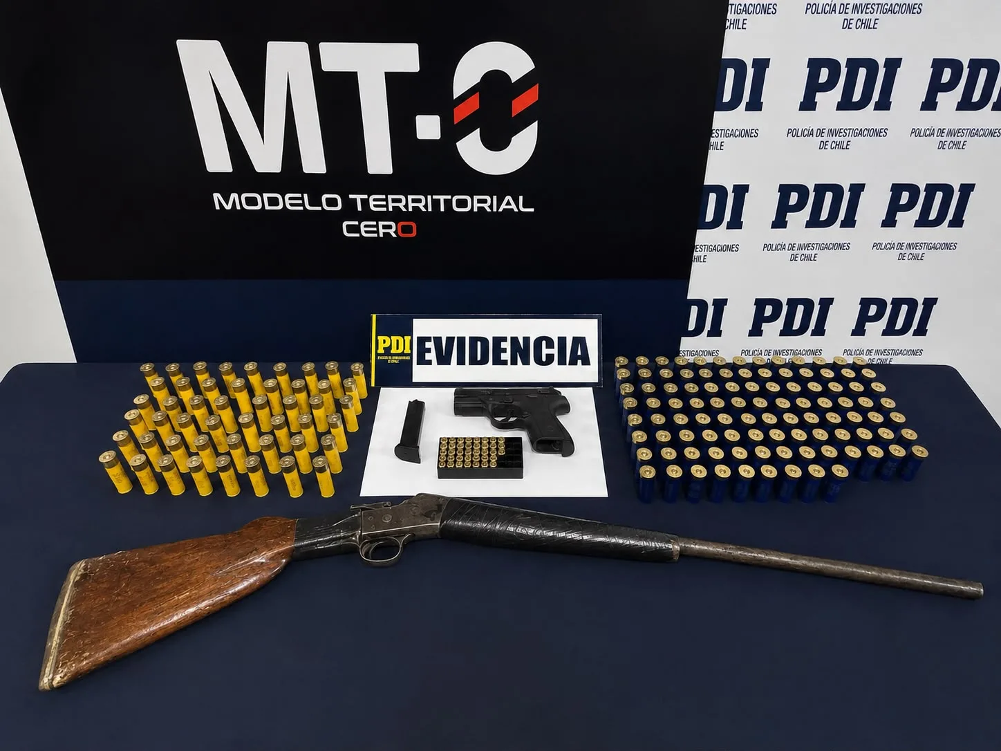 PDI incauta armamento y gran cantidad de munición durante operativo en Lumaco
