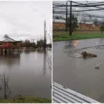 Sistema frontal deja más de 2 mil afectados en La Araucanía: monitorean riesgo de inundaciones en Lumaco y Purén