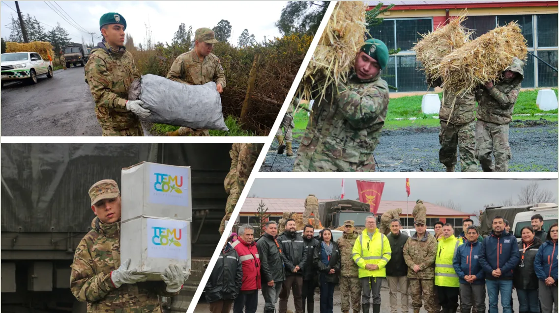 Municipalidad de Temuco y Ejército entregan 130 fardos para apoyar a familias rurales afectadas por temporales