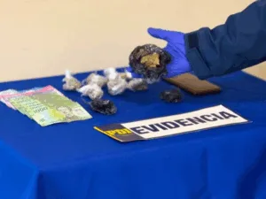 Detienen a mujer por presunto microtráfico de drogas en plena Plaza Teodoro Schmidt de Temuco