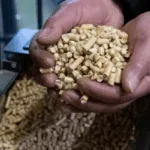 Tras largas esperas y alzas de precios: reconocen estrechez de pellet en La Araucanía